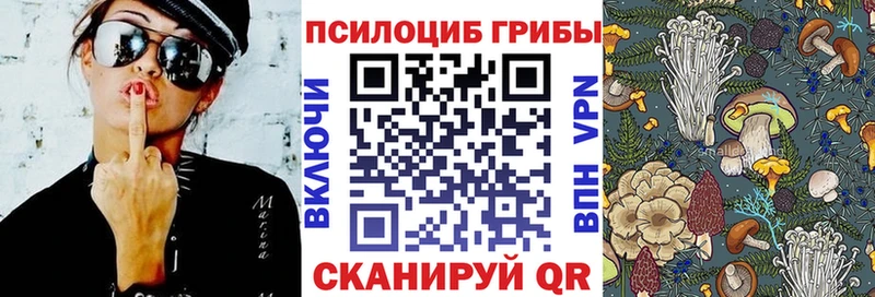 магазин    кракен ссылки  Галлюциногенные грибы Psilocybe  Цивильск 
